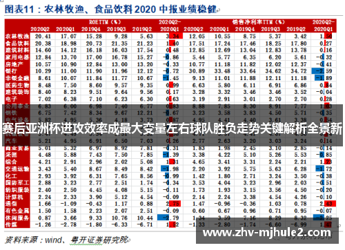赛后亚洲杯进攻效率成最大变量左右球队胜负走势关键解析全景新 赛后亚洲杯进攻效率成最大变量左右球队胜负走势关键解析全景新